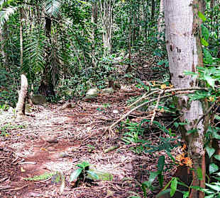 Parque Natural Obô do Príncipe