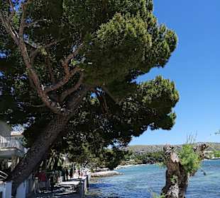 Wandern Pollença / Pollensa