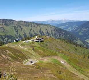 Wandern Donnersbachwald