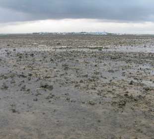 Ebbe vor der Insel