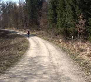 Geologischer Lehrpfad Kirnbachtal