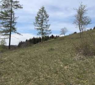 Naturreservat Beutenlay