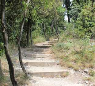 Jede Menge hohe Stufen