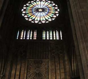 Das Münster | die Kathedrale zu Strasbourg