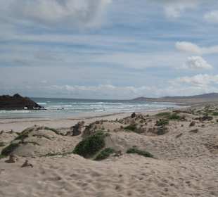 Exclusivtour zum Schiffswrack