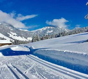 Wandern Balderschwang