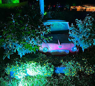 Herbstlichter Brückenkopfpark