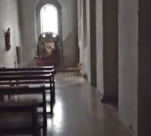 Stift Niedermünster