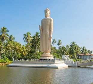 Tsunami Denkmal & Buddha