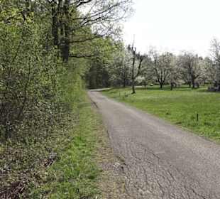 Wanderweg Firstwaldrunde