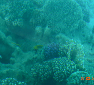 Подводный мир