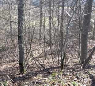 Ödenburg Oberstetten