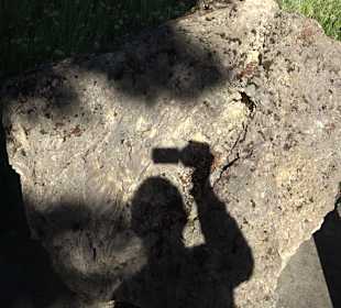 Geologischer Lehrgarten