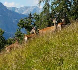 Wandergebiet Schennaberg