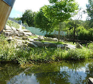 Flachland Gorilla Anlage