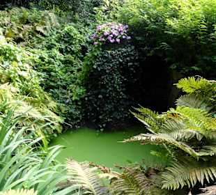 Spaziergang durch Thieles Garten