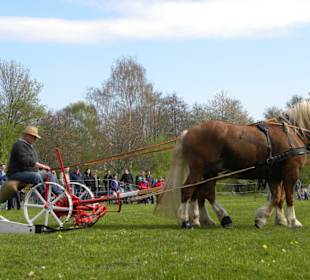 Burgdorfer Pferde- und Hobbytiermarkt