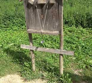 Phäno-Pfad Aichstetten