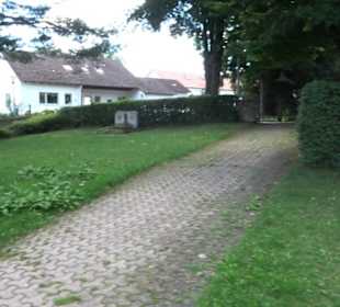 Friedhof Dapfen