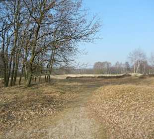 Wunderschöne Boberger Niederung