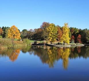 Rundgang durch den Botanischen Garten Hamburg