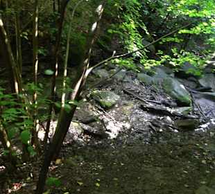 Wanderung Heslacher Wasserfälle und Heidenbrünnele