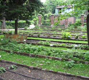 Университетский огород, вход по часам