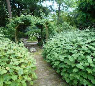 Schloßpark Kasteeltuinen