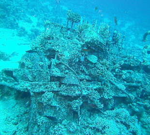 Tauchen bei der Dive Connection