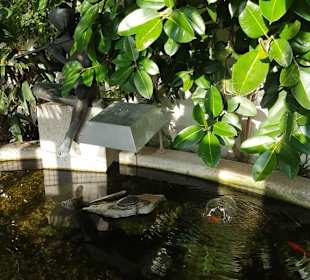 Schloss Mirabell Orangerie 