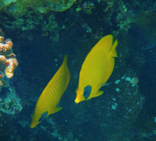 Hotel La Residence des Cascades