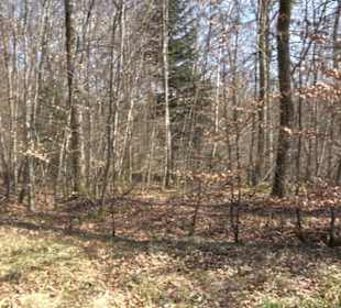 Geologischer Lehrpfad Kirnbachtal