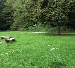 Sonnenaufgangs-Rundwanderung Rübgarten