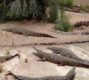 Was für Groß und Klein