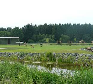Blick von Unterkunft