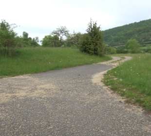 Kreuzweg St. Anna Salmendingen