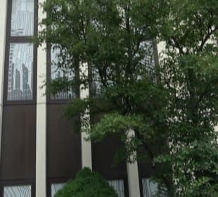 Neuapostolische Kirche