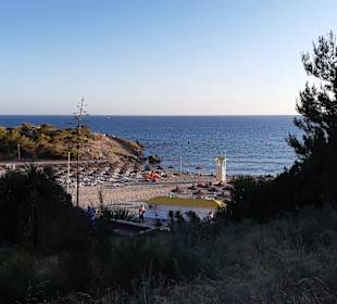 Strand Paguera/Peguera