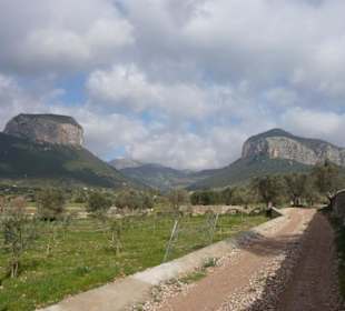 Wunderbare Berge bei Alaro