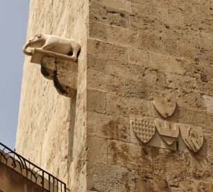 Sucht den kleinen Elefanten :-) in Alghero