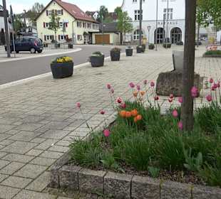 Martinsplatz Nattheim