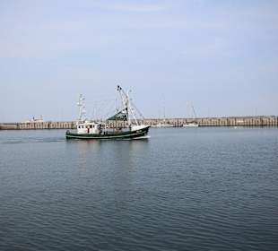 Fischkutter im Südhafen