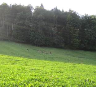 Küche am Wanderberg Schnaidberg