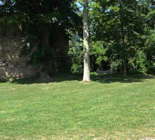 Schloss Herrenberg
