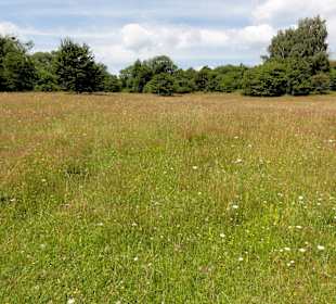Impressionen aus dem Naturschutzgebiet
