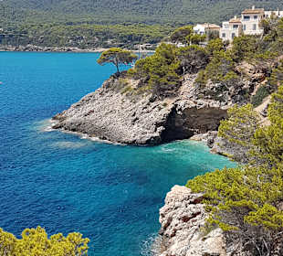Wanderung Puig de Son Jordi
