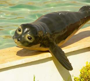Neuer Freizeitparkt Kumköy