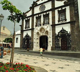 City Council, PDL