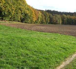 Wanderung Felsen Sankt Johann