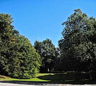 Кладбище Ольсдорф, Гамбург, 16 сентября 2013 года